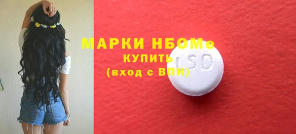 ECSTASY Богданович